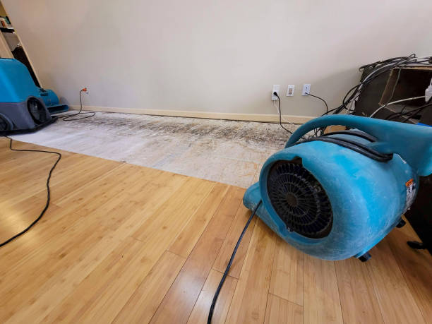 Professional Water Damage Repair technician working in Medina, WA
